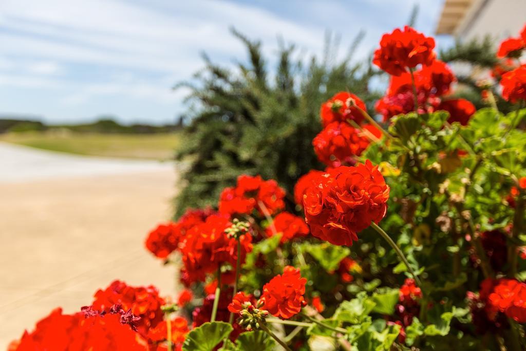 Cottages For Couples Port Fairy Eksteriør bilde